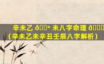 辛未乙 🐺 未八字命理 💐 （辛未乙未辛丑壬辰八字解析）